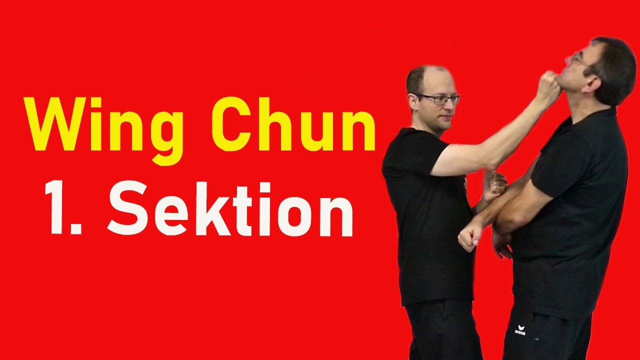 Anwendungen zur 1. Sektion Chi Sao | Wing Chun