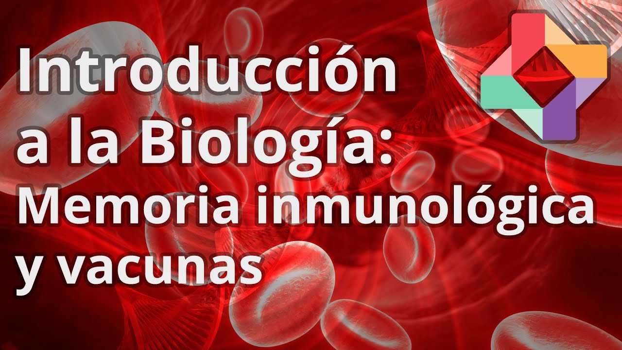 Memoria inmunológica y vacunas - Biología - Educatina
