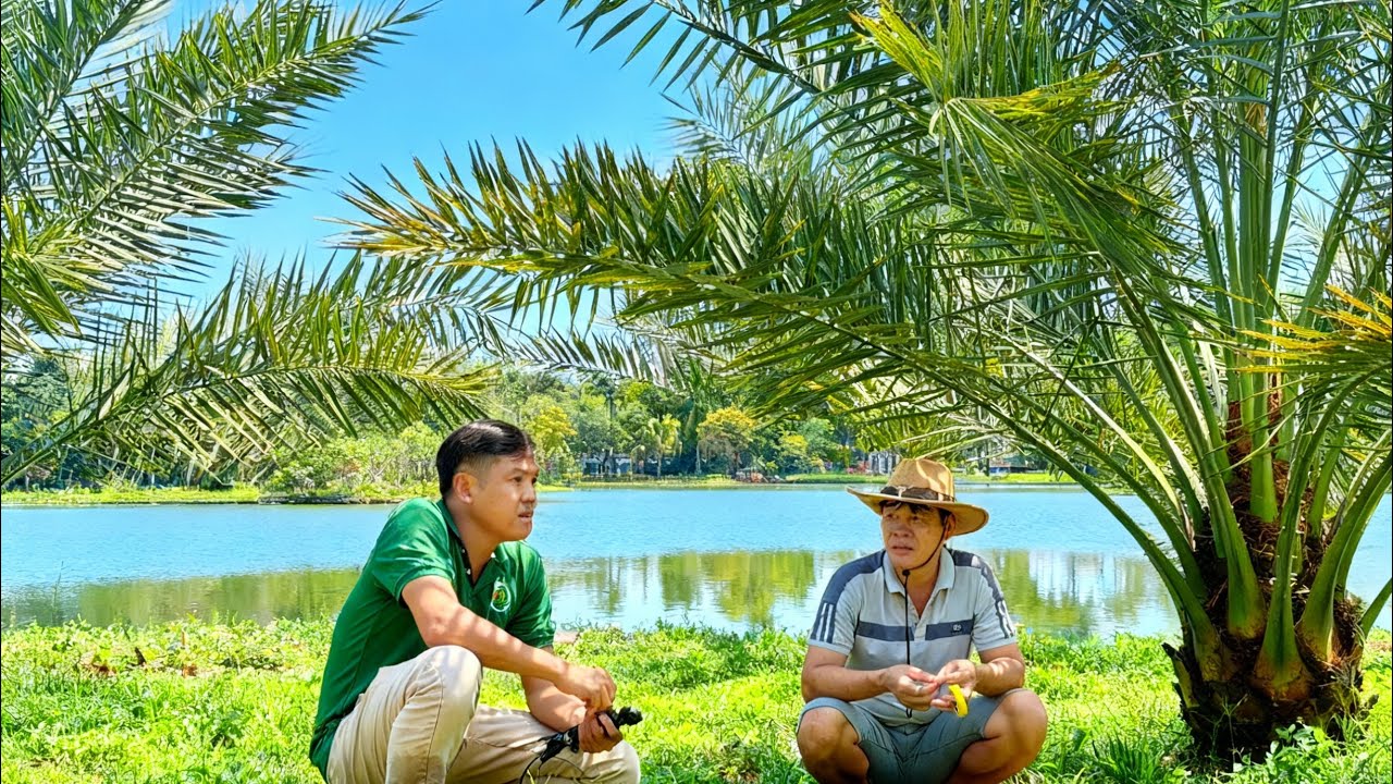 CHÚ Ý KHI TRỒNG CHÀ LÀ | 0919.961.477