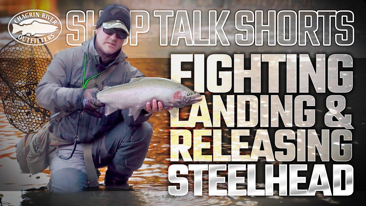 Борьба со стальноголовым лососем, высадка на берег и отпускание — Ловля стальноголового лосося на...