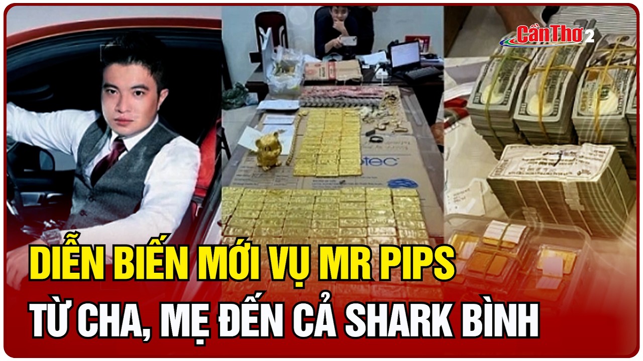 Diễn biến mới vụ Mr Pips: từ cha, mẹ đến cả Shark Bình | Cần Thơ