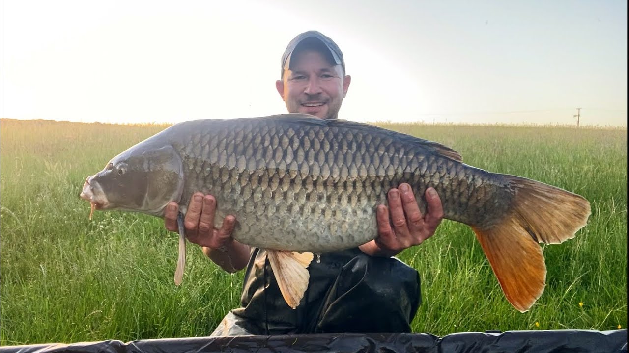 Carp fishing at private lake in Essex