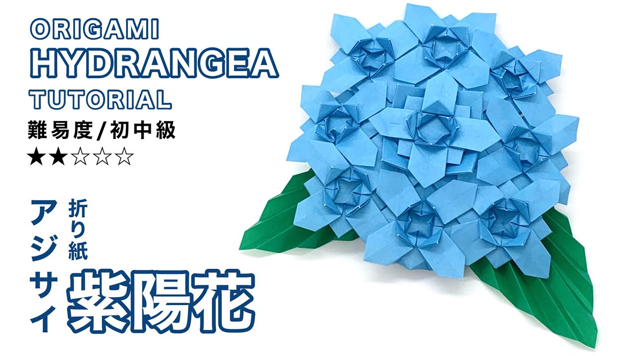 【お花の折り紙】アジサイ/ Origami Hydrangea (オリガミマン origami man）
