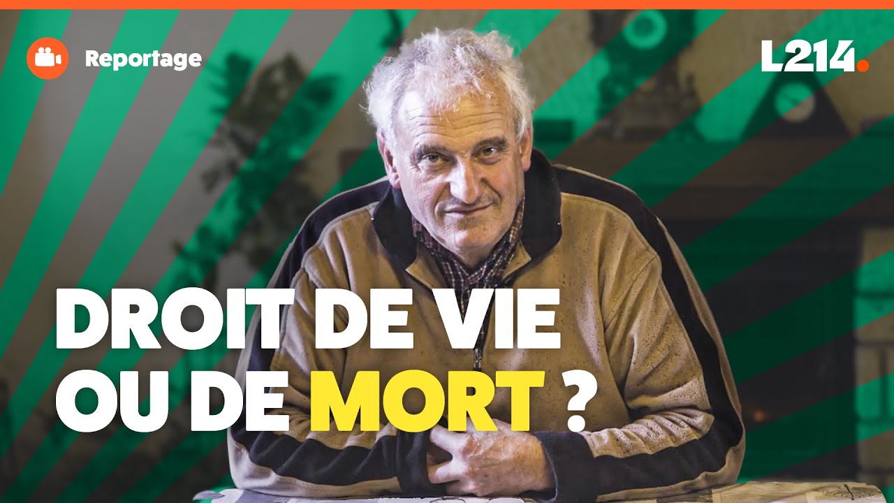 FNSEA : Derrière les Fermes, le Drame des Éleveurs Français (2/3)
