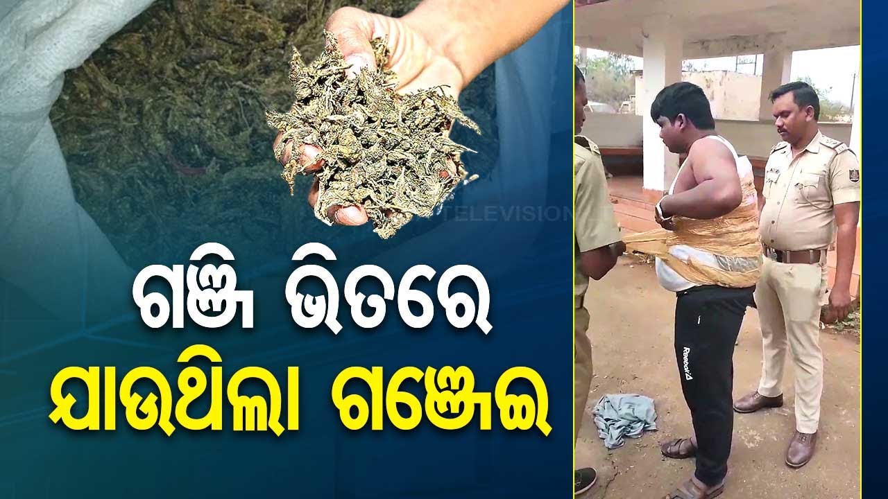 Lamtapur | Accused taped 22 kg ganja over his body, arrested by police