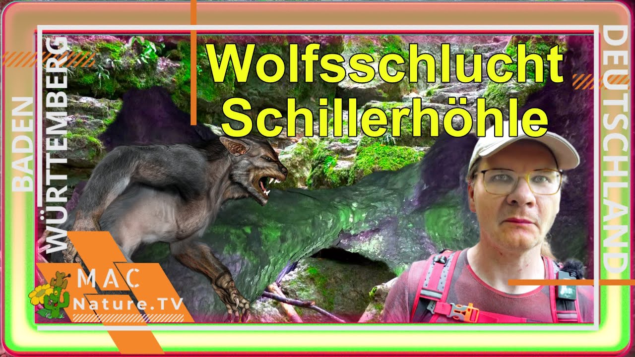 Am Hohenwittlingensteig | Wolfsschlucht | Schillerhöhle | Schwäbische Alb
