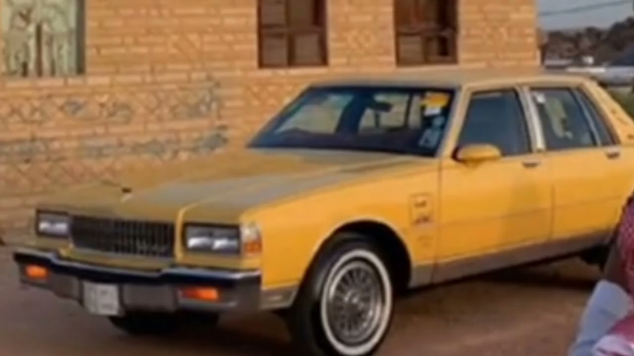 سالفة الكداد من الطايف إلى الرياض