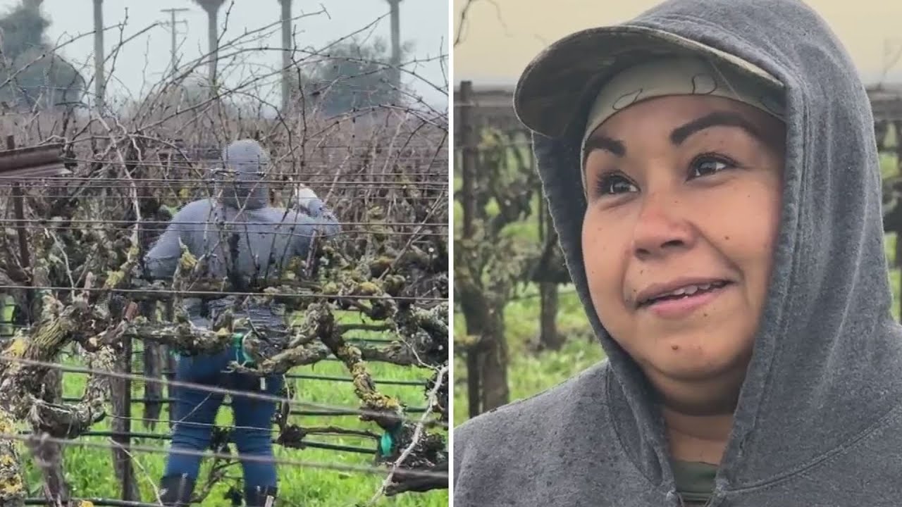 “Estaban esperando la ‘migra’”: trabajadores agrícolas reciben seguridad del sheriff de San Joaquín