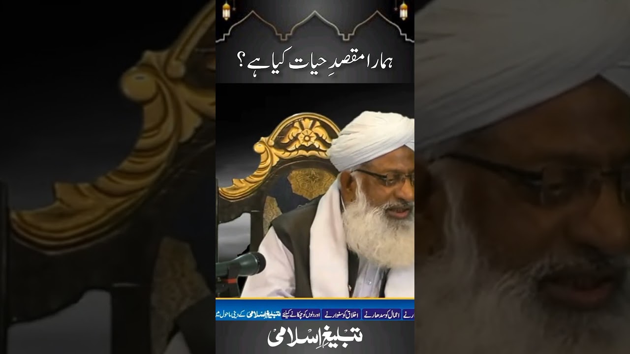 What IS the REAL Purpose of Life in Islam? #tableegheislami #PurposeOfLife #IslamicPurpose