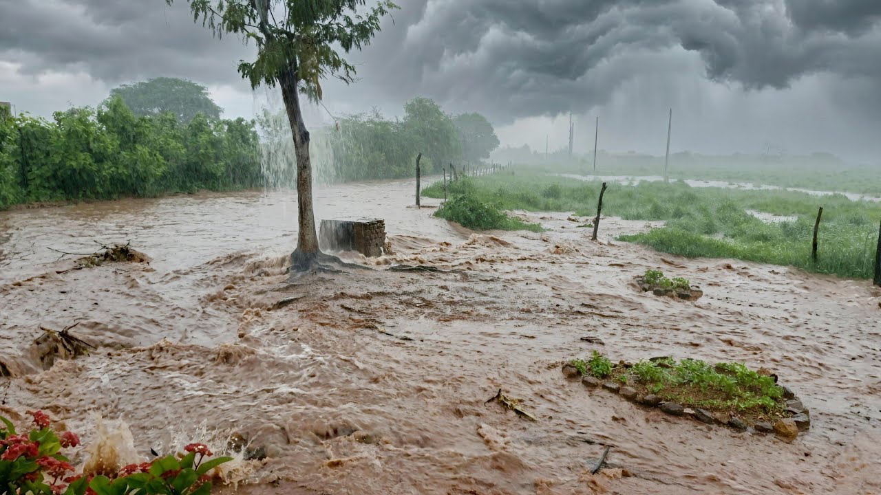 NORDESTE DE BAIXO ÁGUA DEPOIS FORTE CHUVA O DIA INTEIRO 