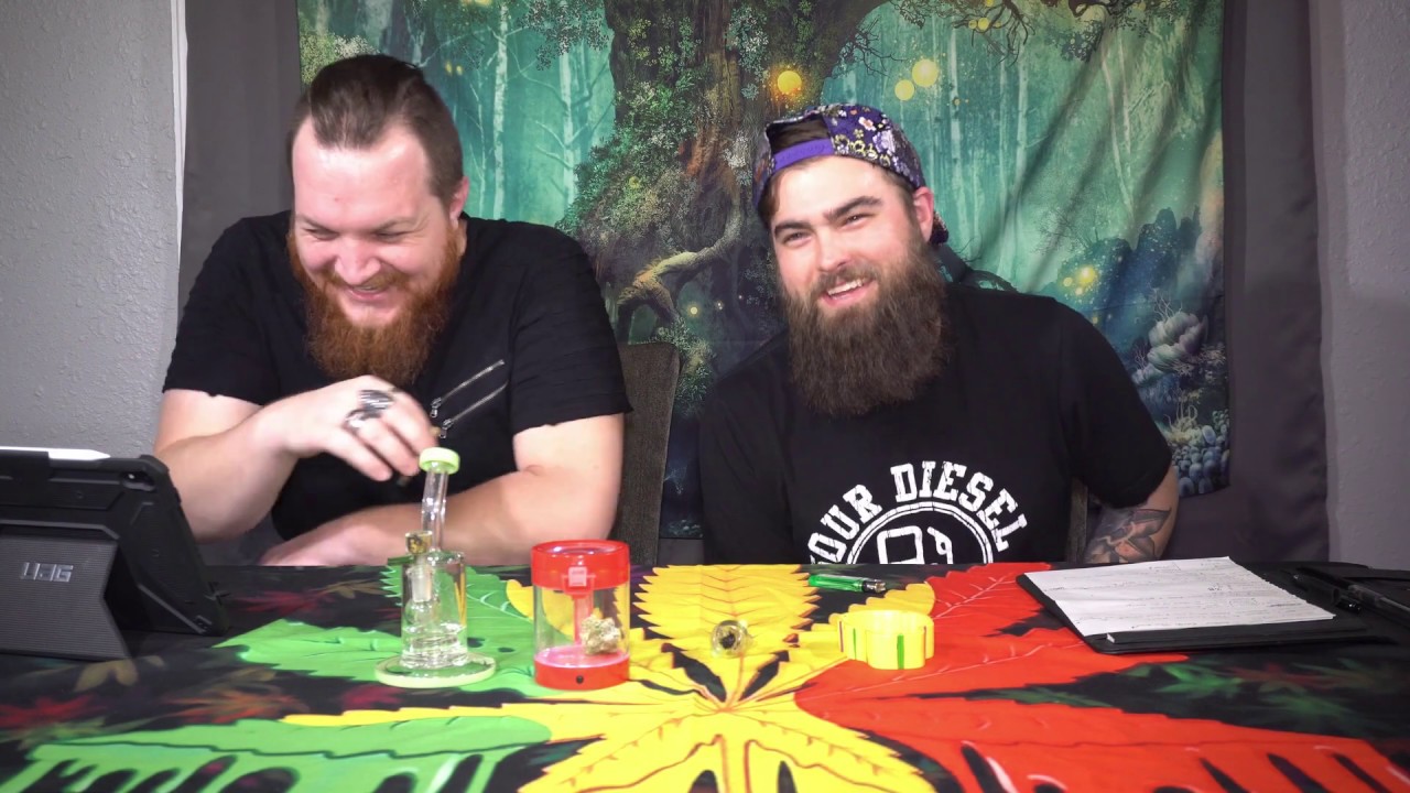 Northern Lights Review