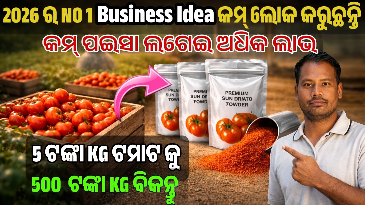 New Business Idea in 2026 Odia | Tomato Powder Business Idea | Low Investment High Profit #tomato