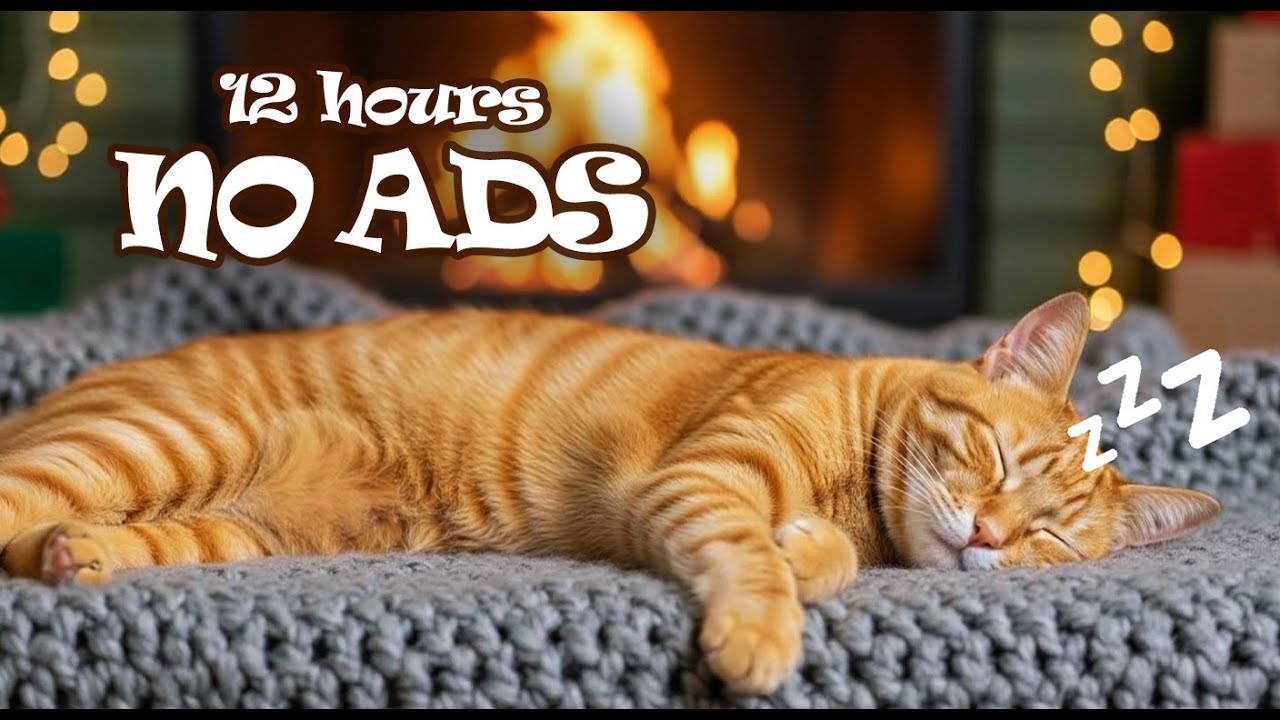 12 Hours UNINTERRUPTED of Cat Sleep Music 🌙 Deep Sleep Piano Music for Cat Home Alone