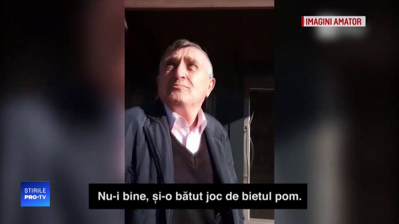 Copacul anului în România, ”masacrat” cu drujba. Reacția primarului