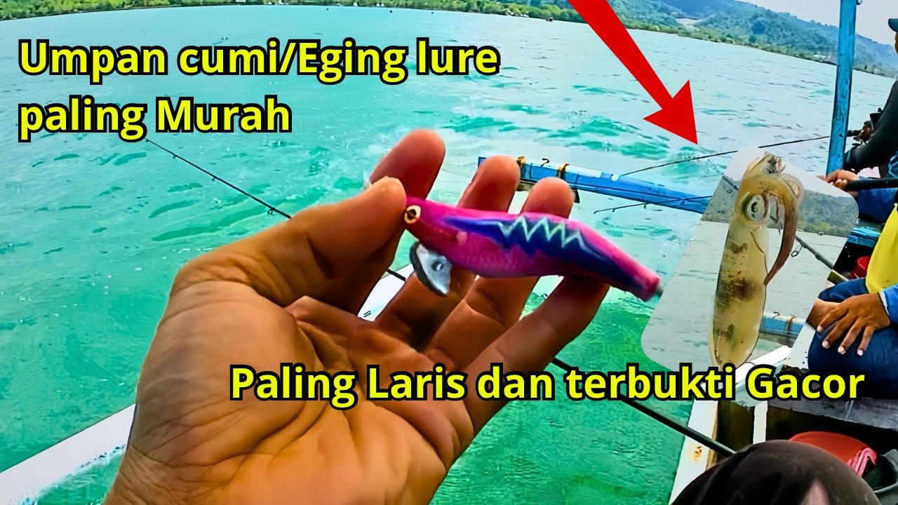 Coba mancing Cumi pakai lure Egi Murah‼️ Siapa sangka Begini Hasilnya❗️⁉️