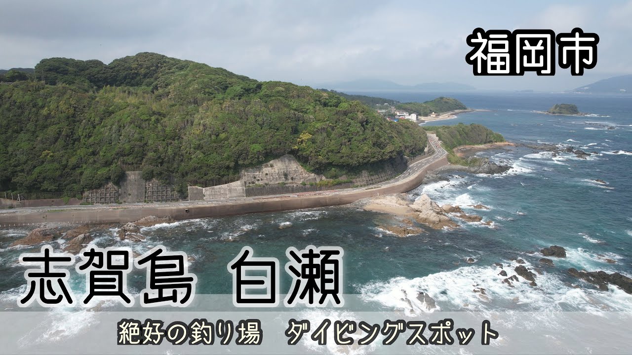 【 ドローン空撮 】 志賀島の白瀬は絶好の釣り場&ダイビングスポット。