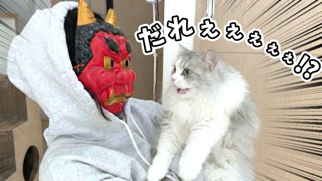 部屋に入ってきたママの顔が鬼になっていたときの子猫の反応がすごかったw