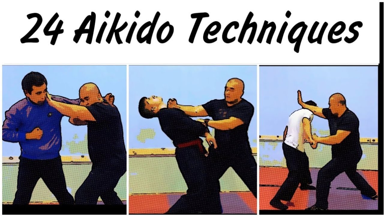 24 Aikido Techniques That Will Make You Question Reality
