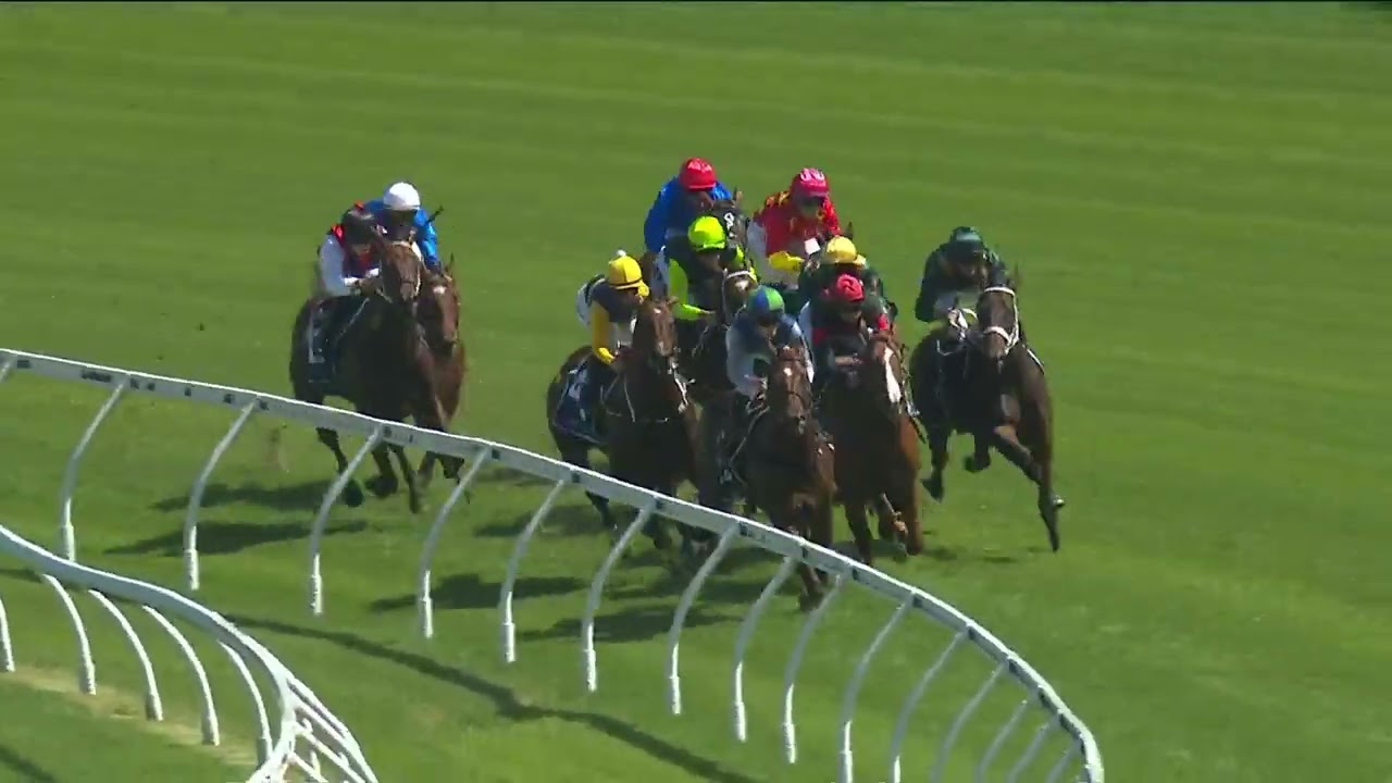 Скачки Skyline Stakes 2026 - CAMPIONE D'ITALIA (2-летняя лошадь, победа в скачках, G2, классическ...