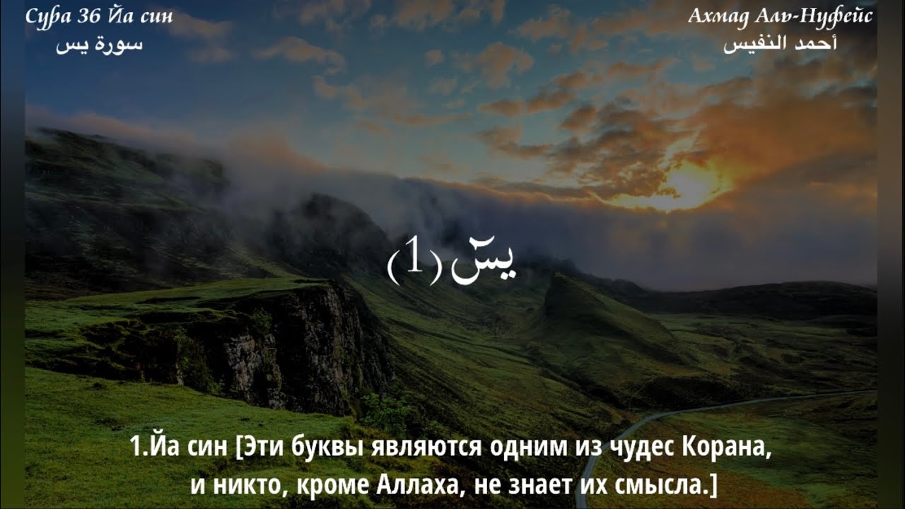 Сура 36 Ясйн | Ахмад Аль-Нуфейс - سورة يس | أحمد النفيس