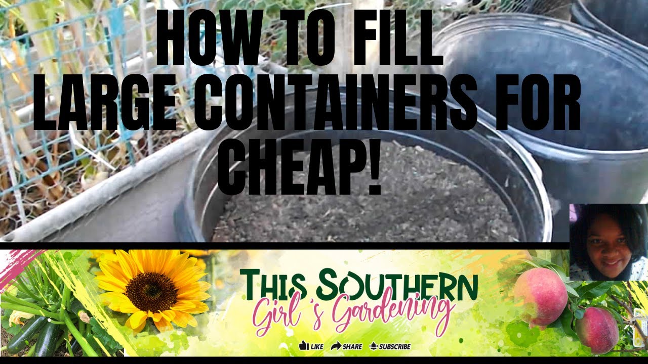 How I Fill Large Containers for Cheap! No Expensive Potting Soil Needed!