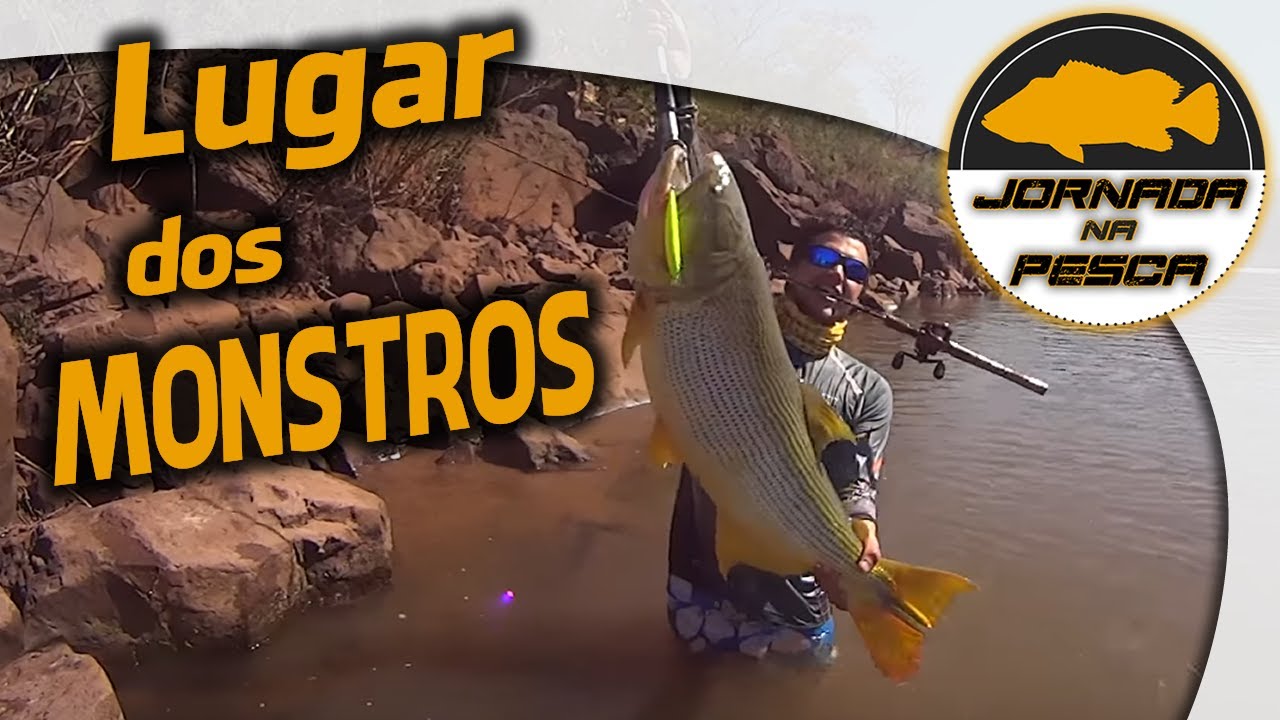 Dourado gigante: captura improvável no pincho