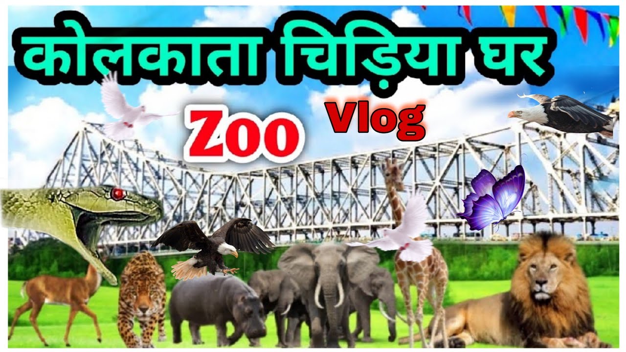 Kolkata Zoo Vlogs || कोलकाता का चिड़िया घर || Alipur Zoo || Alone Design Vlogs ||