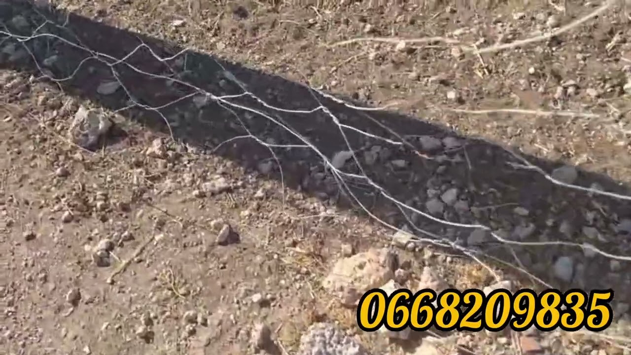 ارض للبيع 8500 تيتر قربنا مو برشيد في الحياسنة0668209835