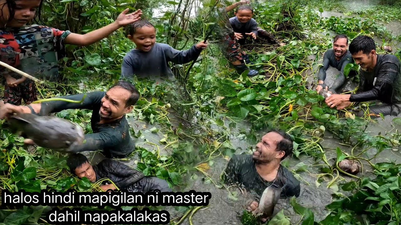 Grabe 'to Hindi kami makapaniwala nag tatago sa ilalim ng kangkungan Ang malalaking dalag