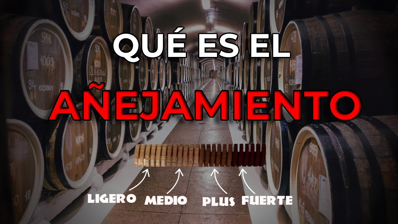 A&Ntilde;EJAMIENTO y MADURACI&Oacute;N de bebidas alcoh&oacute;licas