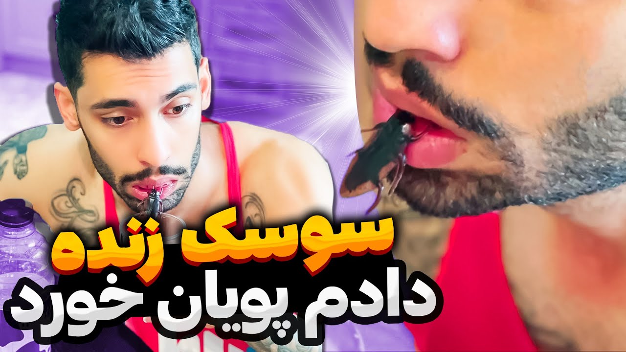 سوسک زنده دادم پویان خورد🤢
