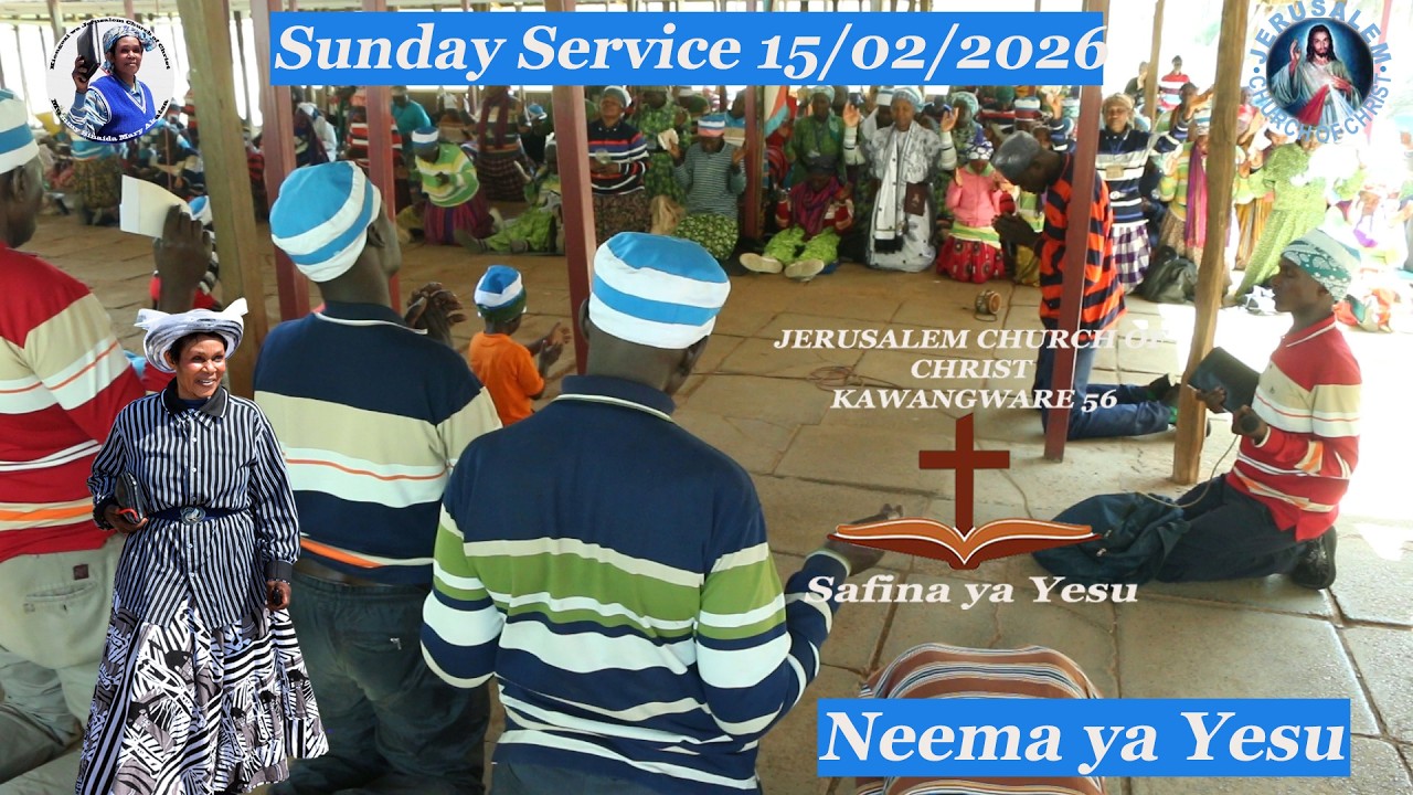 Neema 15/02/2026