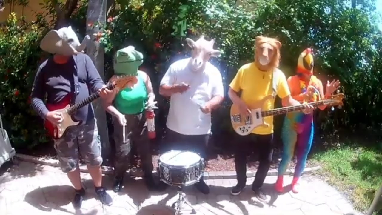 JUNGLE    (cover by Ticket to the Moon ELO EXPERIENCE)