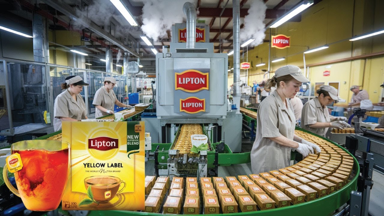 How Lipton Tea Is Made in the factory? | Factory Made
