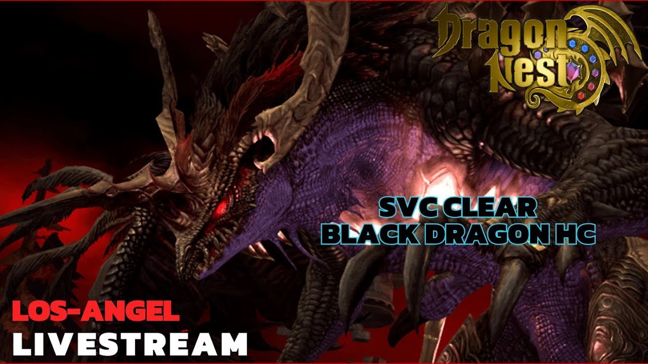 BDN HC SERVICE [Dragon Nest Sea] #117