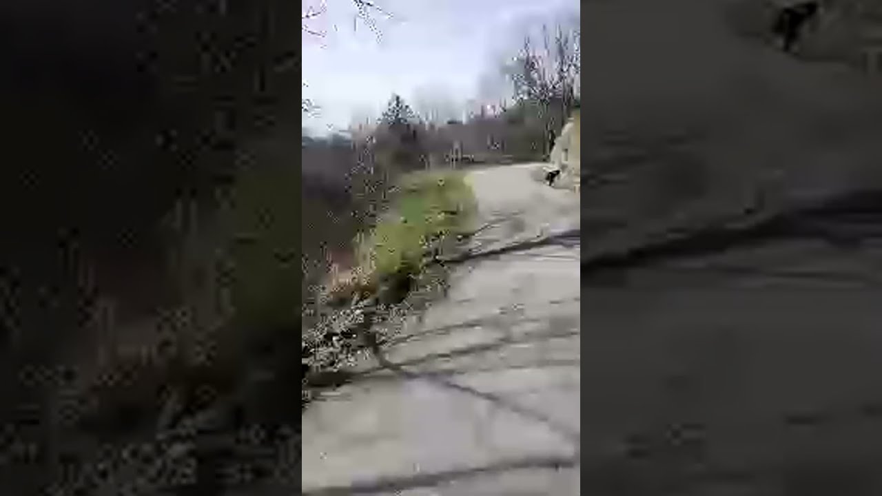 نهاركم سعيد إخوتي في الله 🕊️ 🌍