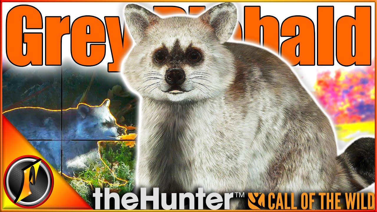 Наш ПЕРВЫЙ ПЕГИЙ ЕНОТ! Они выглядят потрясающе! | theHunter Call of the Wild