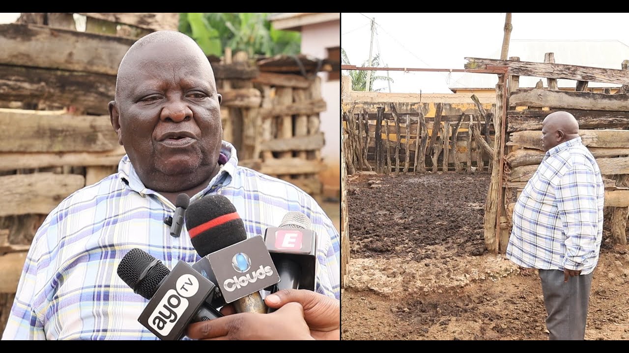 WATU WASIOJULIKANA WAVUNJA, WAIBA NG'OMBE MWENYE MIMBA NYUMBANI KWA ALIYEKUWA HAKIMU MAHAKAMA GEITA