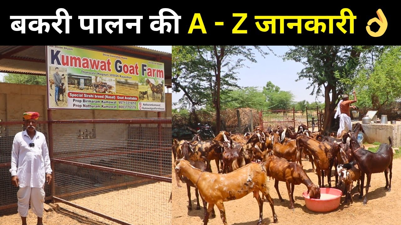 बकरी पालन की A - Z जानकारी 👌@Harish Yadav
