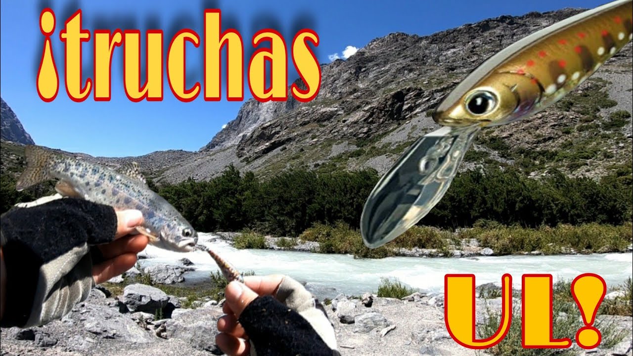 TRUCHAS cordilleranas|SC.SHINER|pesca UL