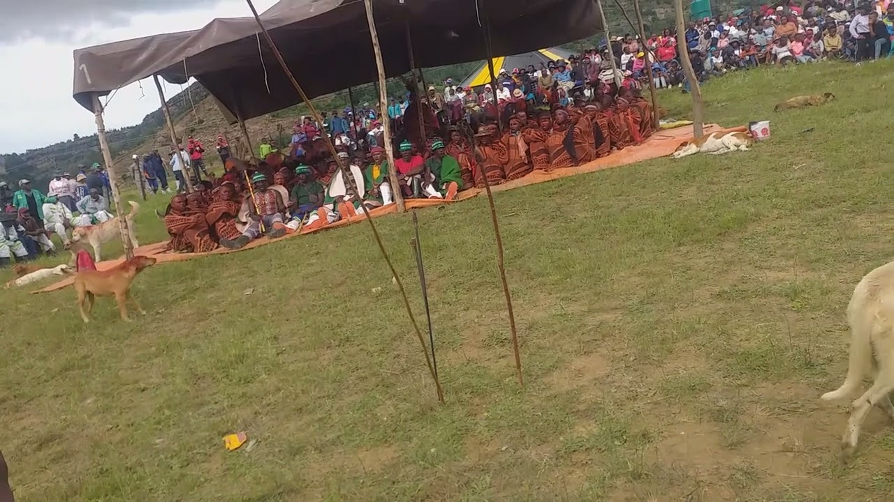 Makolwane a ntate Mochafo 2022