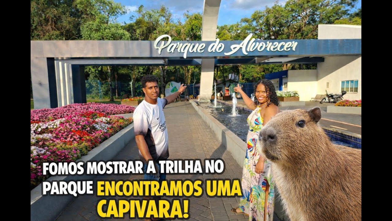 A gente só queria mostrar a trilha… Mas olha quem apareceu no meio do caminho!