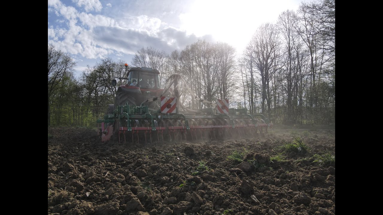 REGENT DSG 450 Grubber | MF 8480