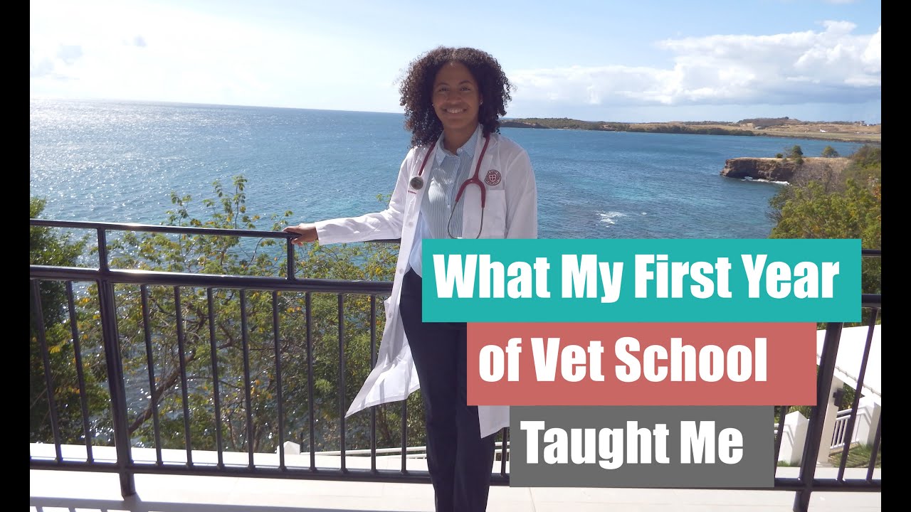 What My First Year of Vet School Taught Me | First Day Home Vlog