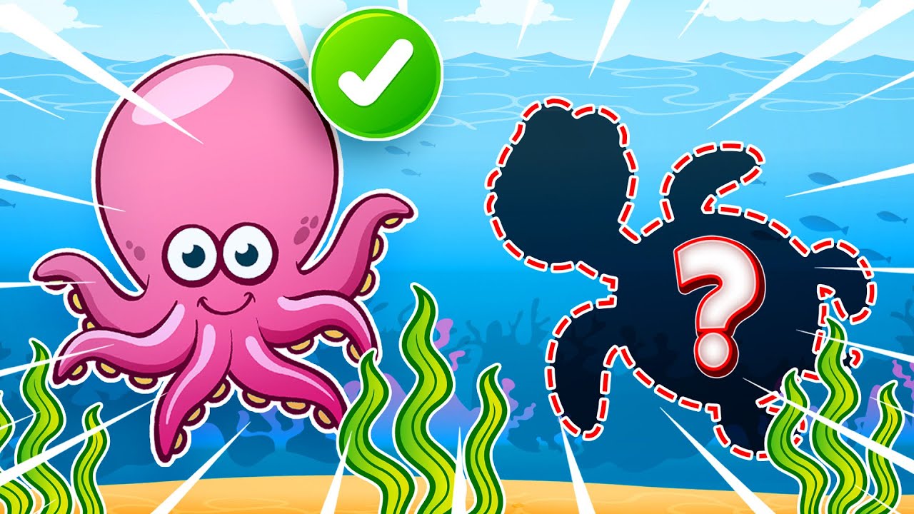 Animali Marini 🤓🧠 + Altri Video Educativi per Bambini | Piccoli Saggi