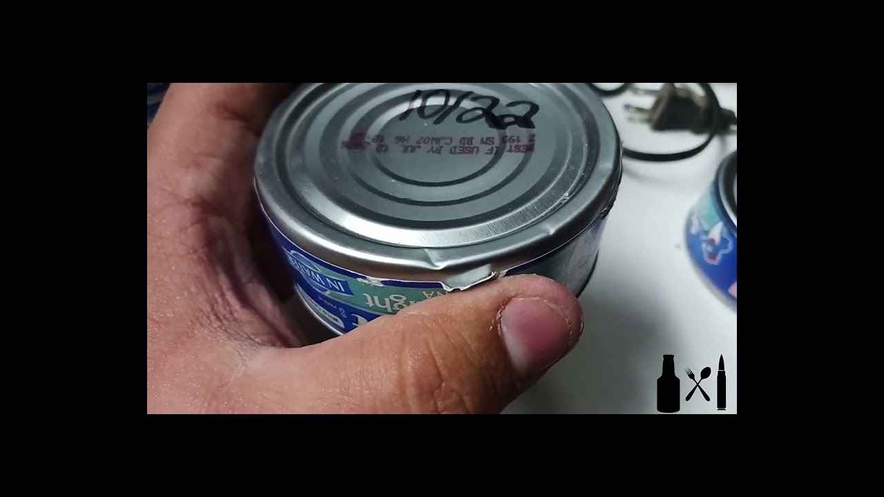 Canned Food Inspection