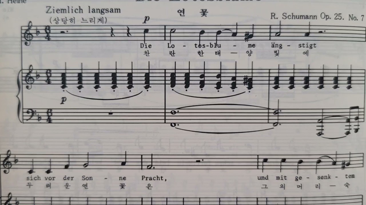 2021숙대 성악입시곡 시리즈 1 Schumann  Die  Lotosblume 연습하기 앞부분
