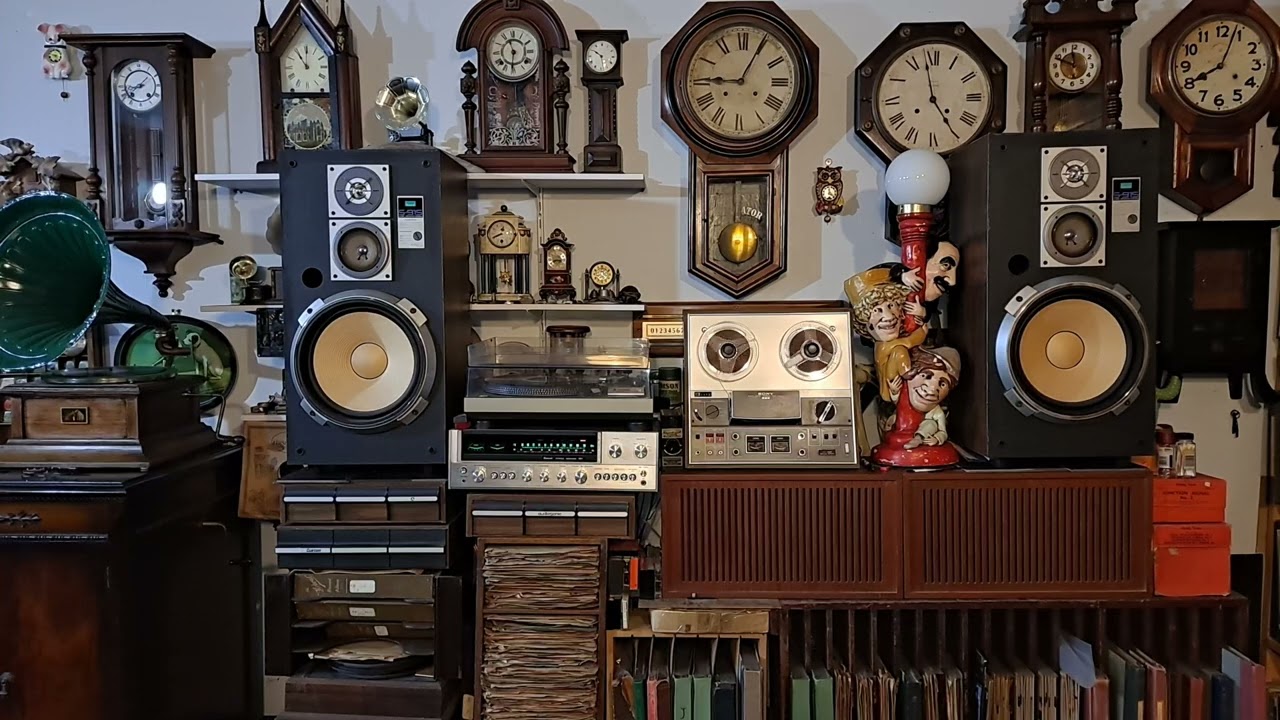 Chicken Talk. Sony TC-366 Tapecorder Reel to Reel Tape Recorder