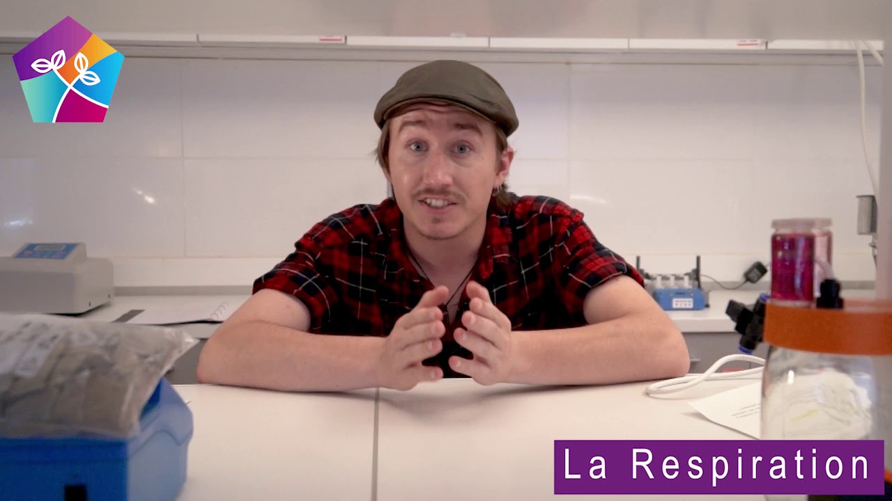 La respiration des sols