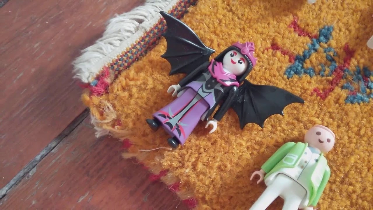 Je compte et je vous montre tous mes Playmobil partie 1